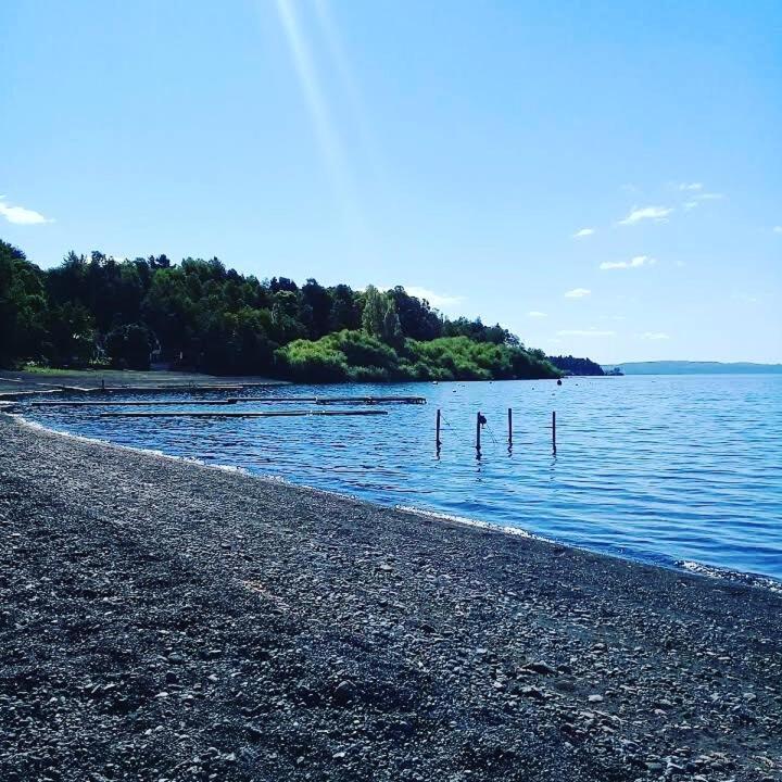 Bosque Del Lago Pucón Εξωτερικό φωτογραφία